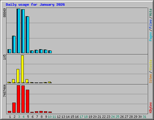 Daily usage for January 2026