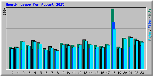 Hourly usage for August 2025