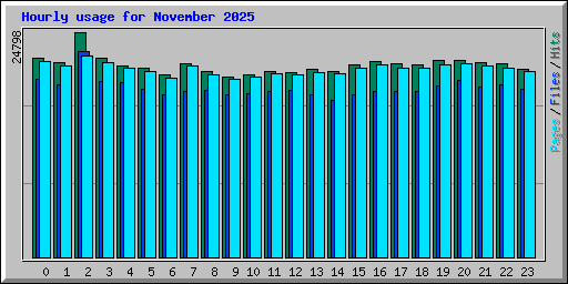 Hourly usage for November 2025